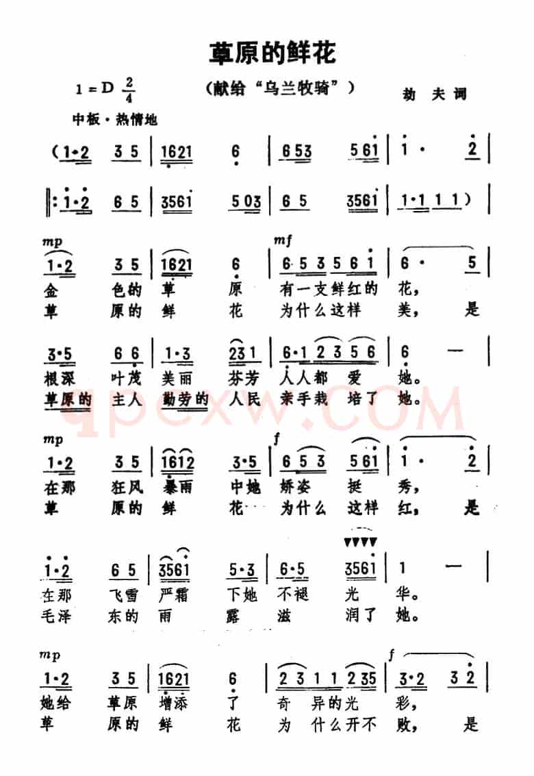 草原的鲜花