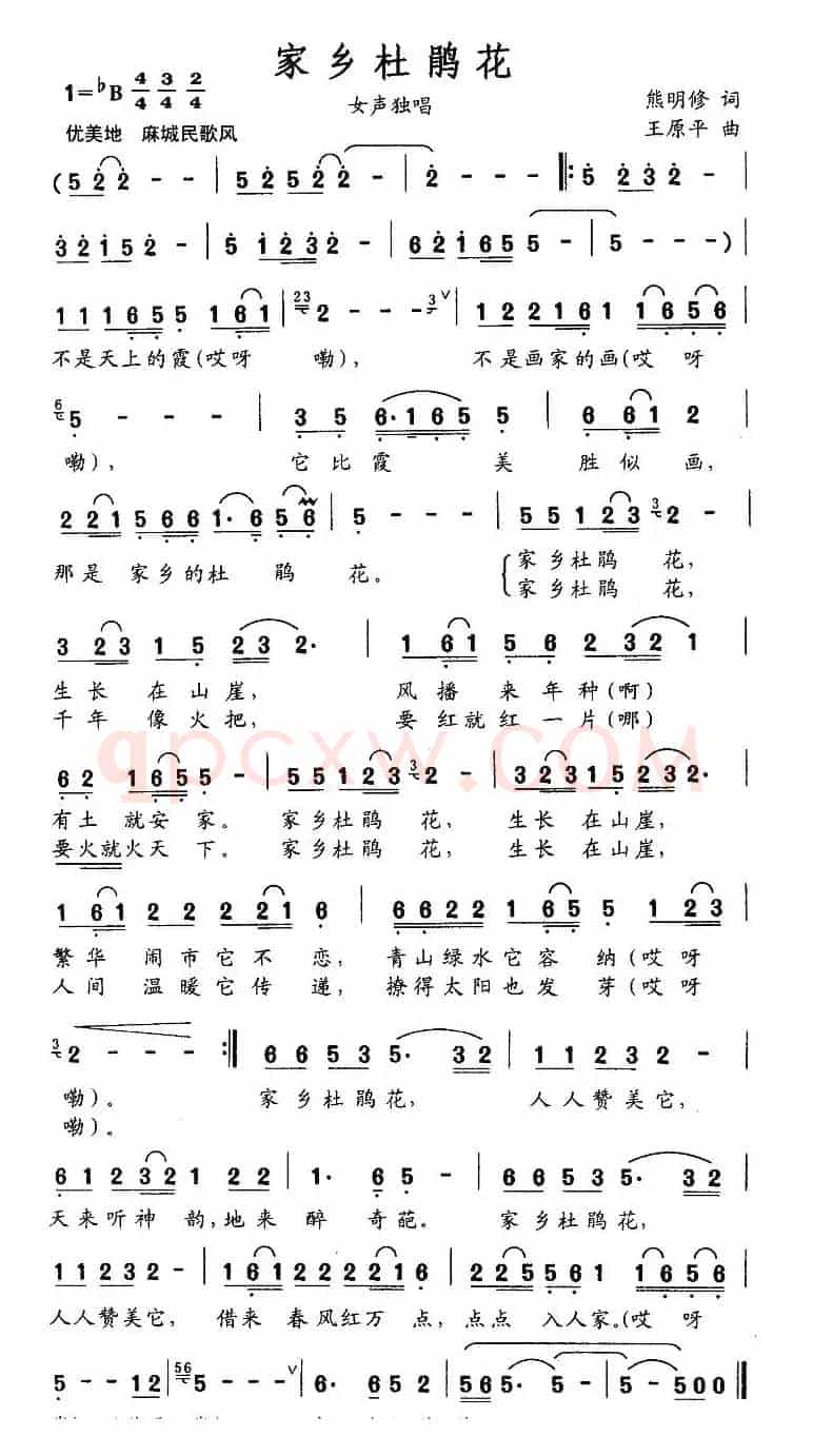 家乡杜鹃花