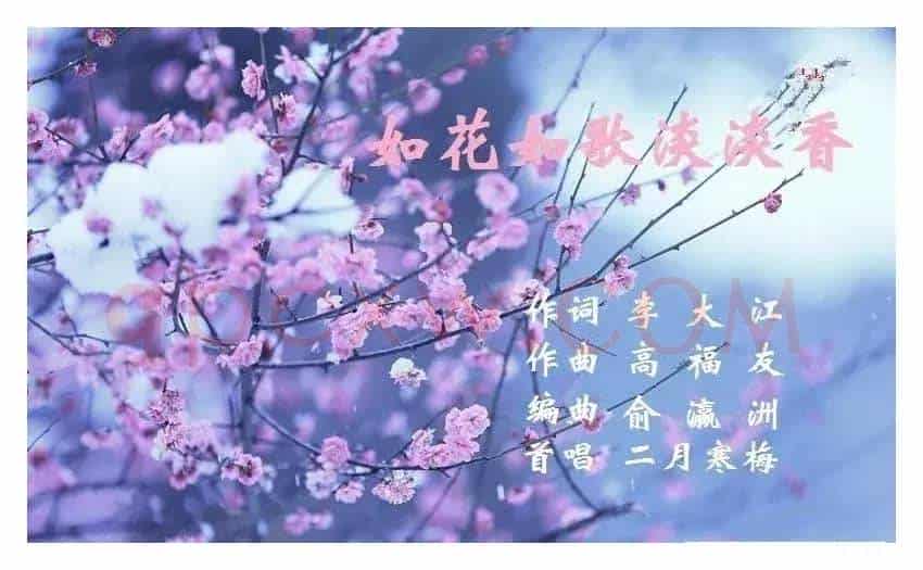 如花如歌淡淡香