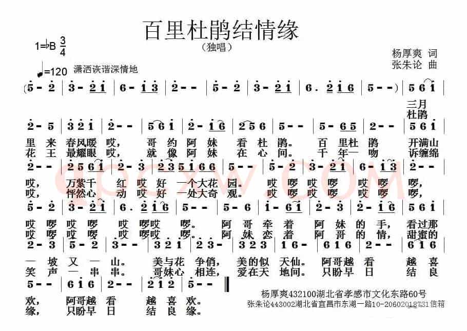 百里杜鹃结良缘
