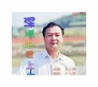 深深地爱上你