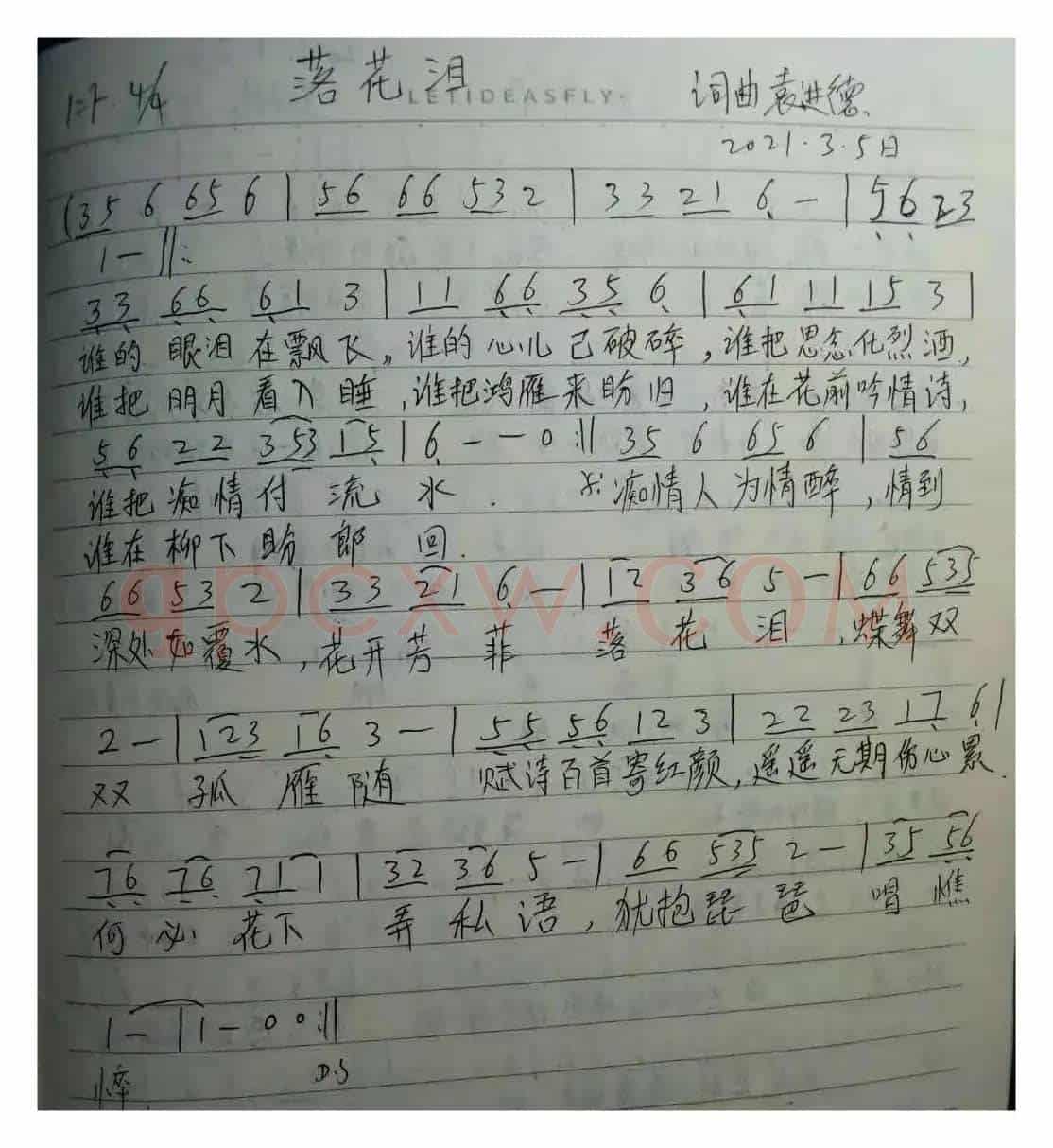 落花泪