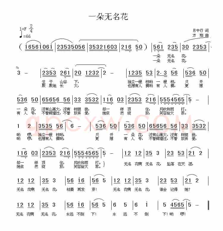 一朵无名花