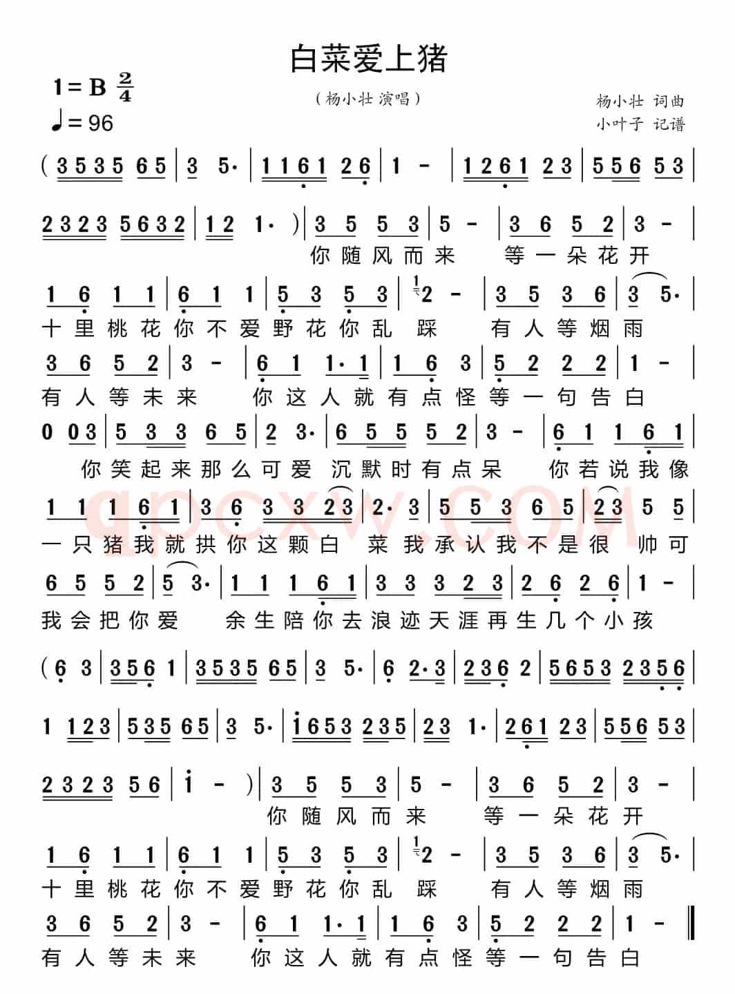 白菜爱上猪