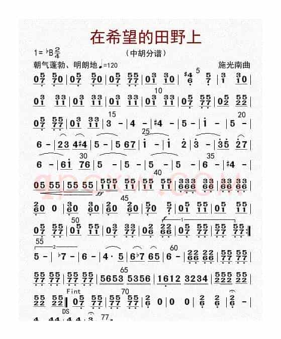 在希望的田野上（中胡分谱）