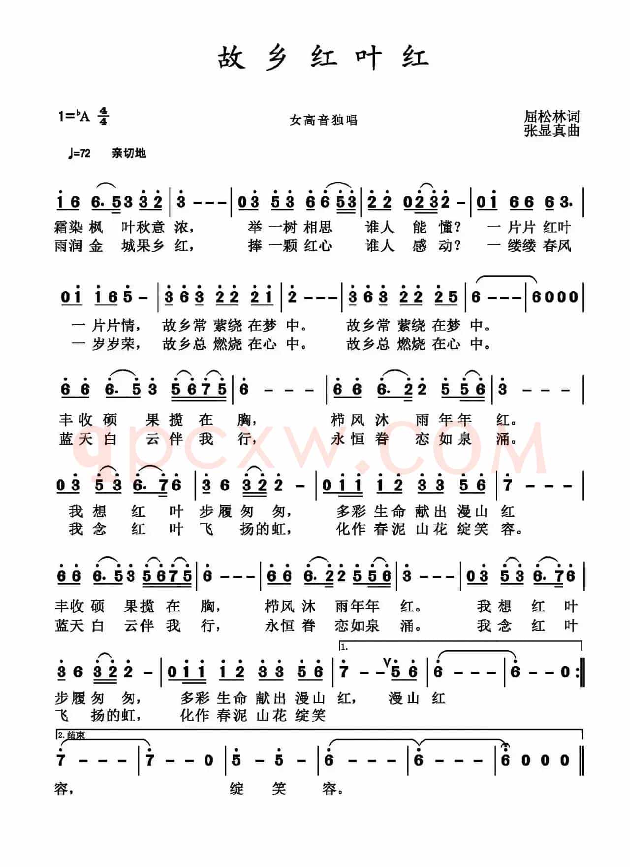 故乡红叶红