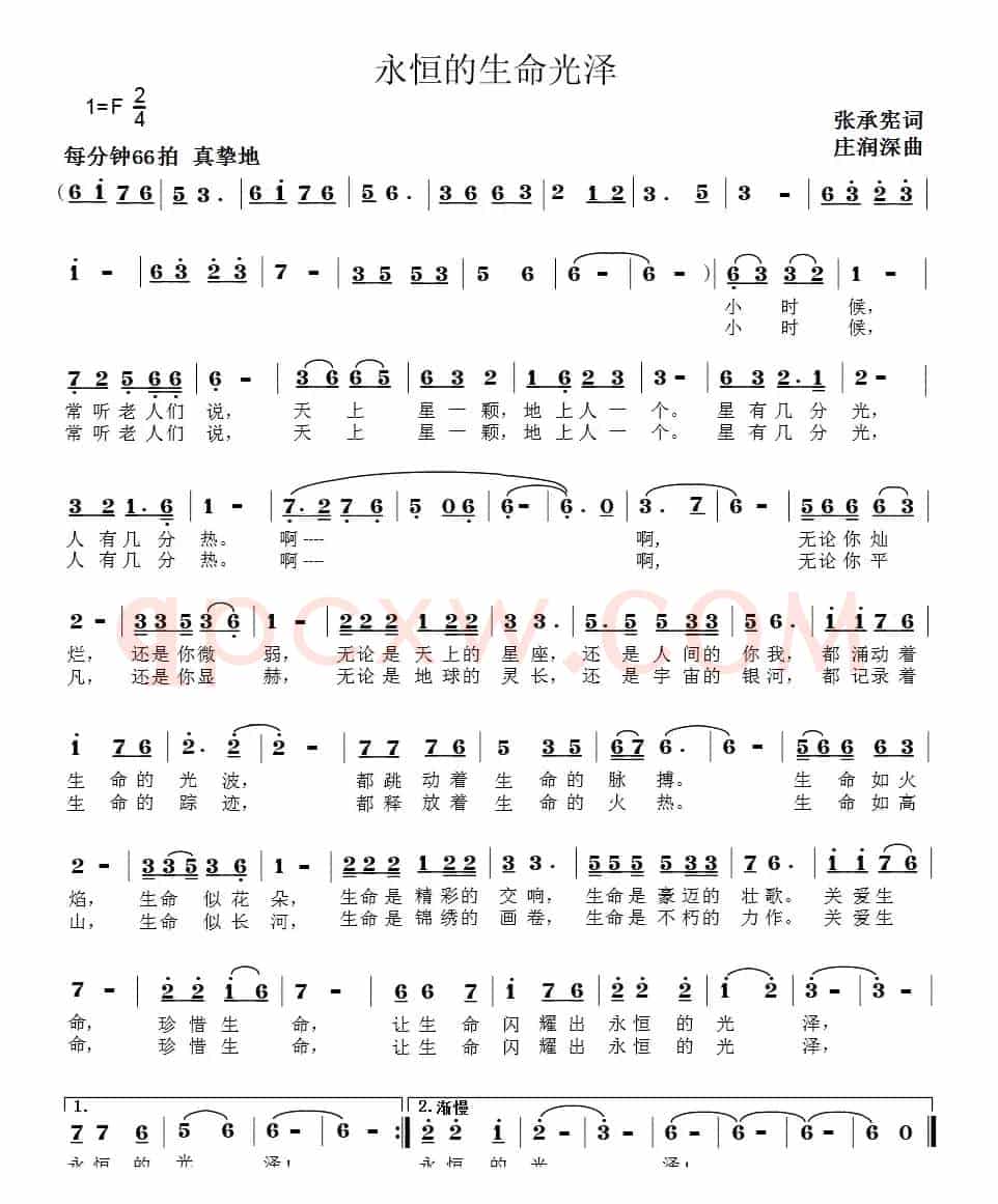 永恒的生命光泽
