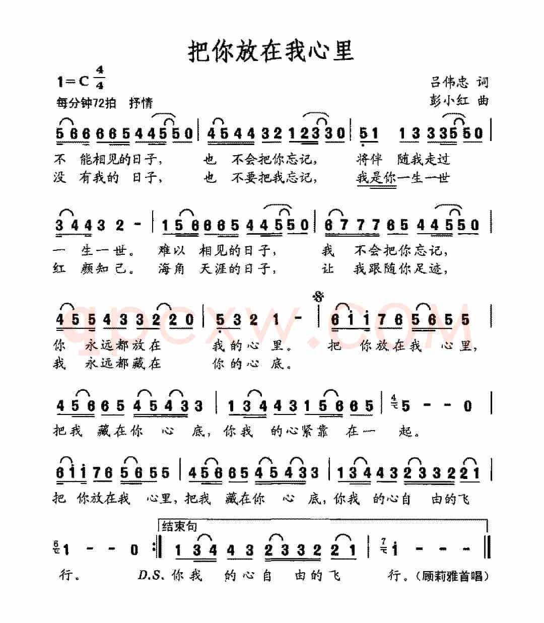 把你放在我心里