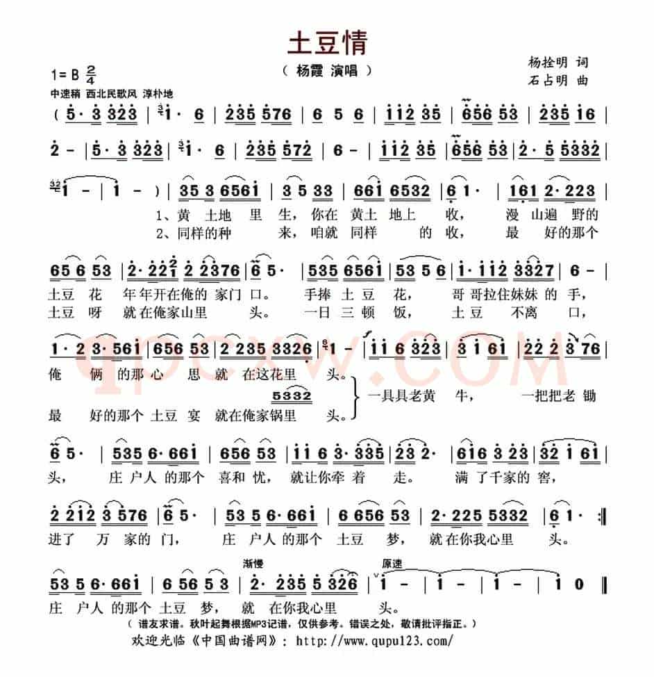 土豆情