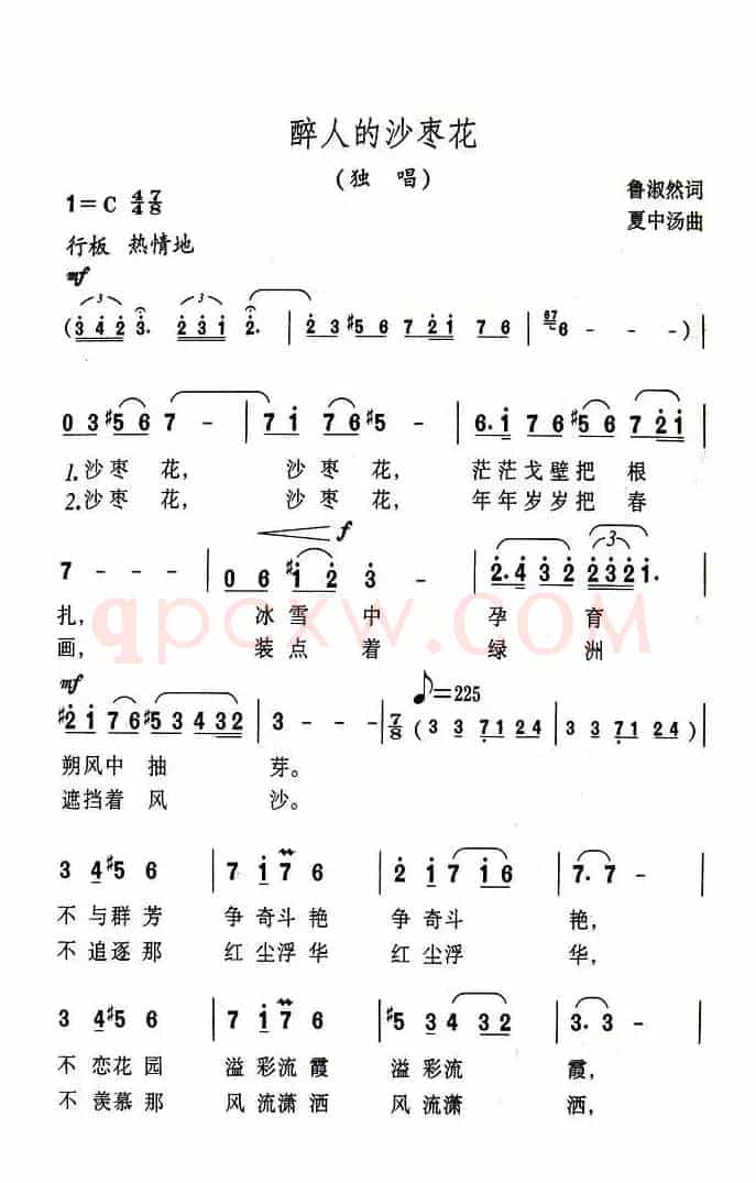 醉人的沙枣花
