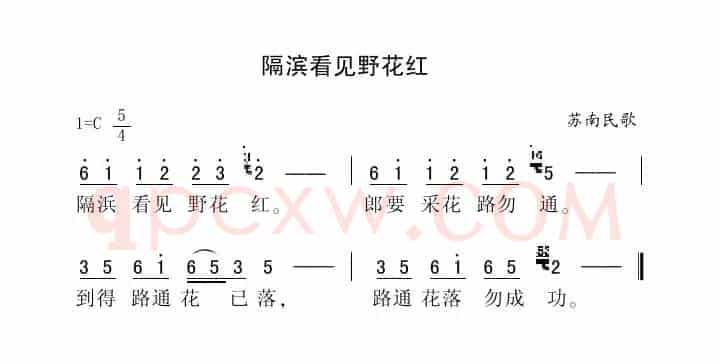 隔滨看见野花红