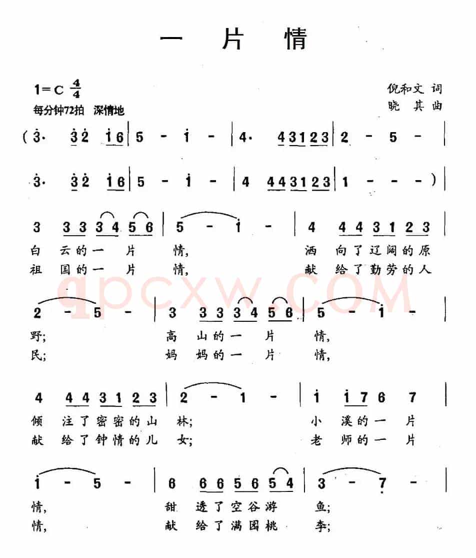 一片情