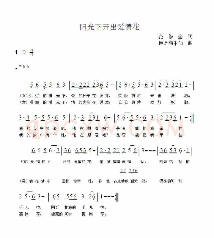 阳光下开出爱情花