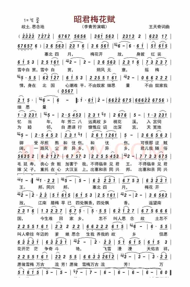 昭君梅花赋