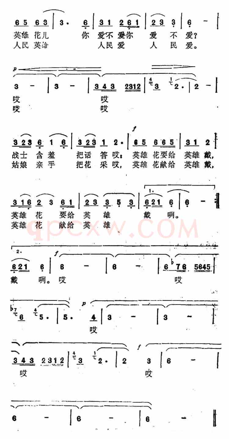 英雄花献给英雄戴 
