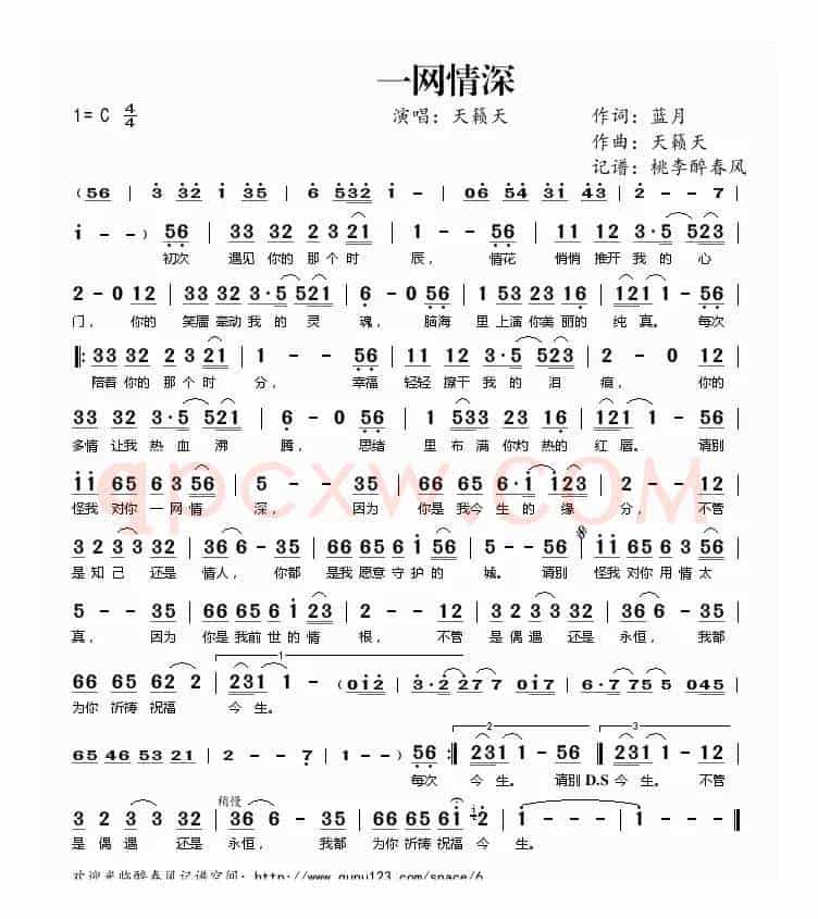 一网情深(蓝月词 天籁天曲)