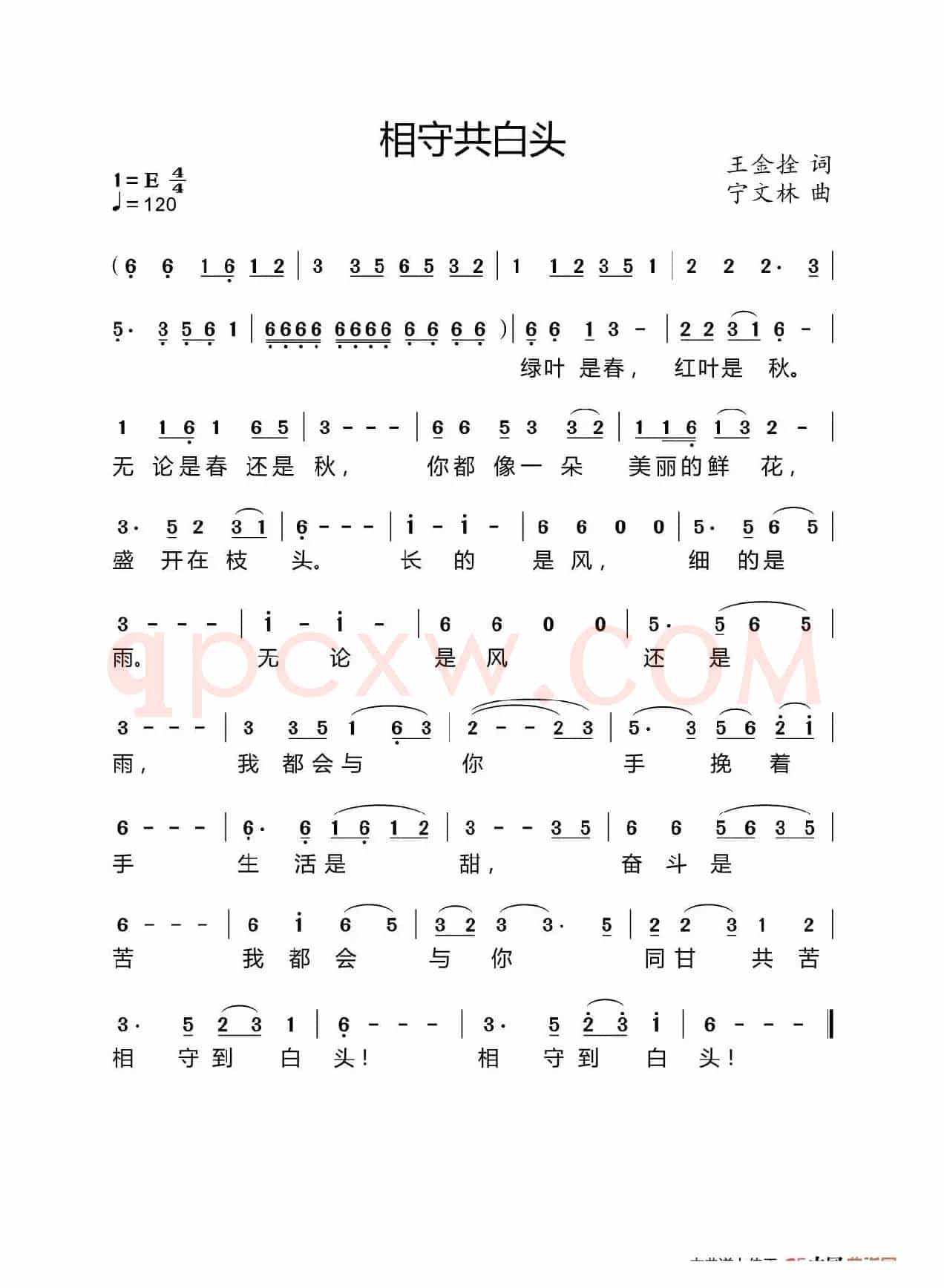 相守到白头