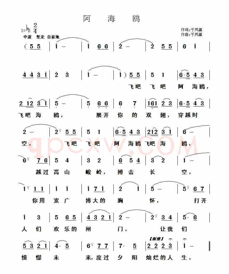 阿海鸥
