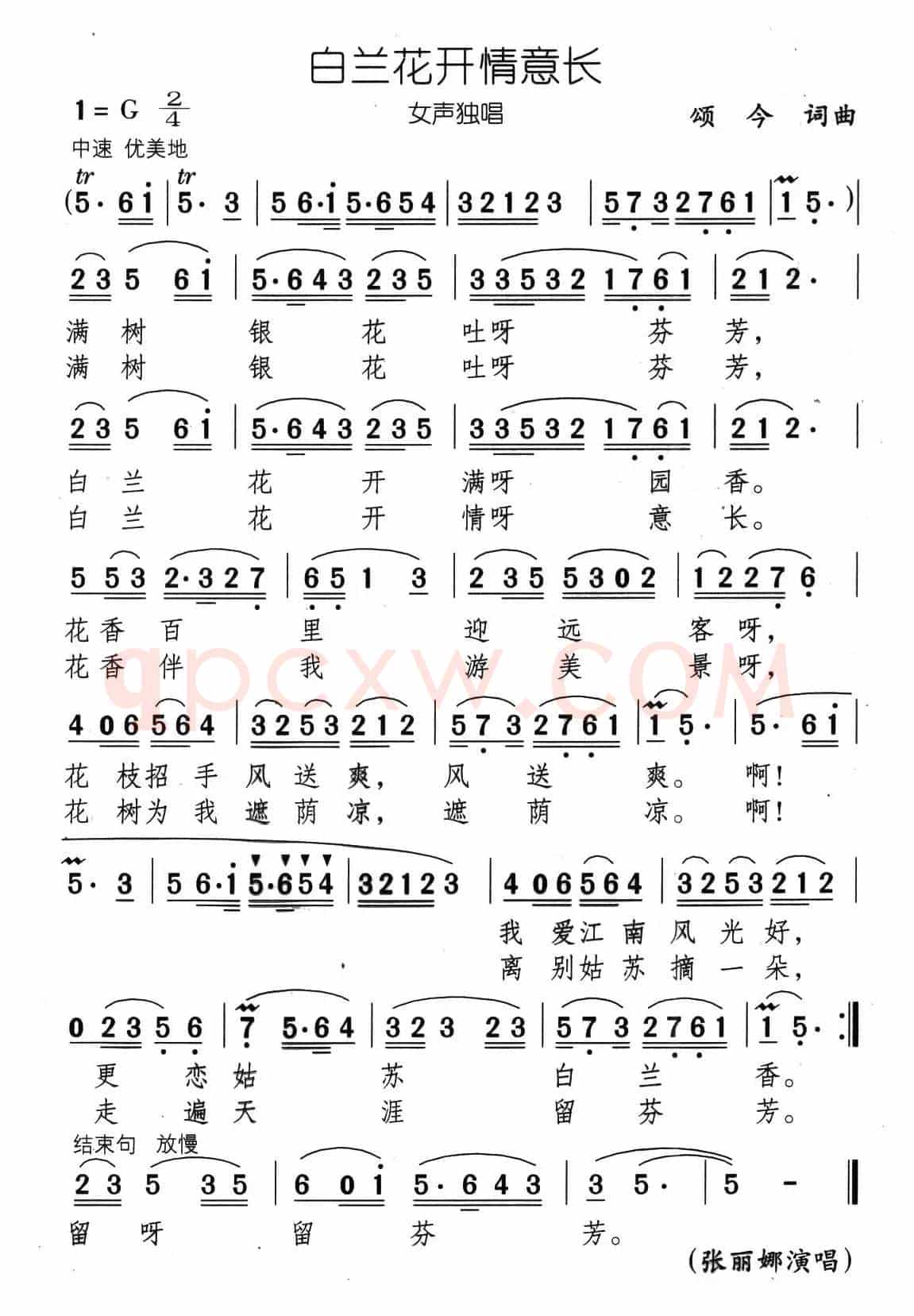 玉兰花开情意长（又名：白玉兰情意长）