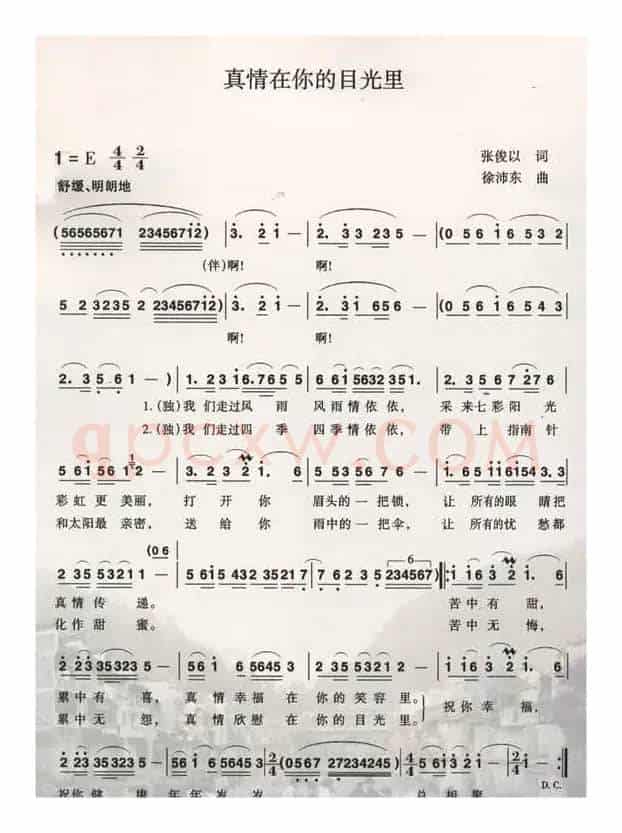 真情在你的目光里