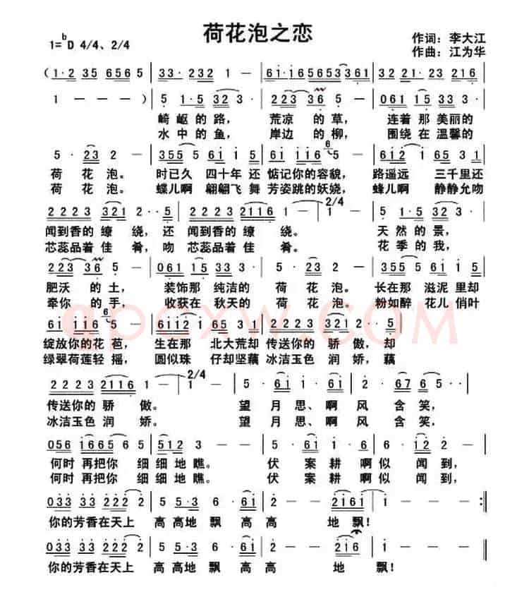 荷花泡之恋