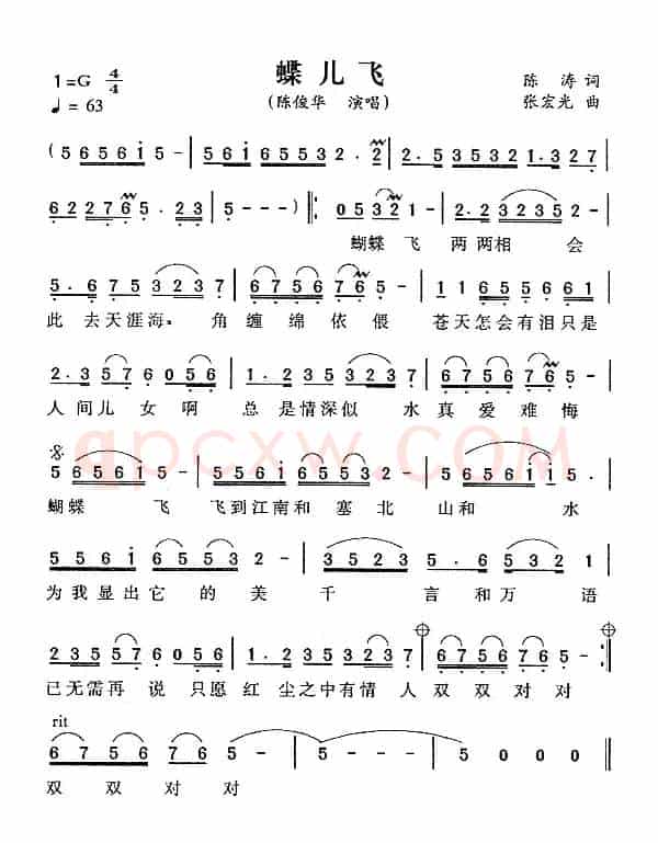 蝶儿飞