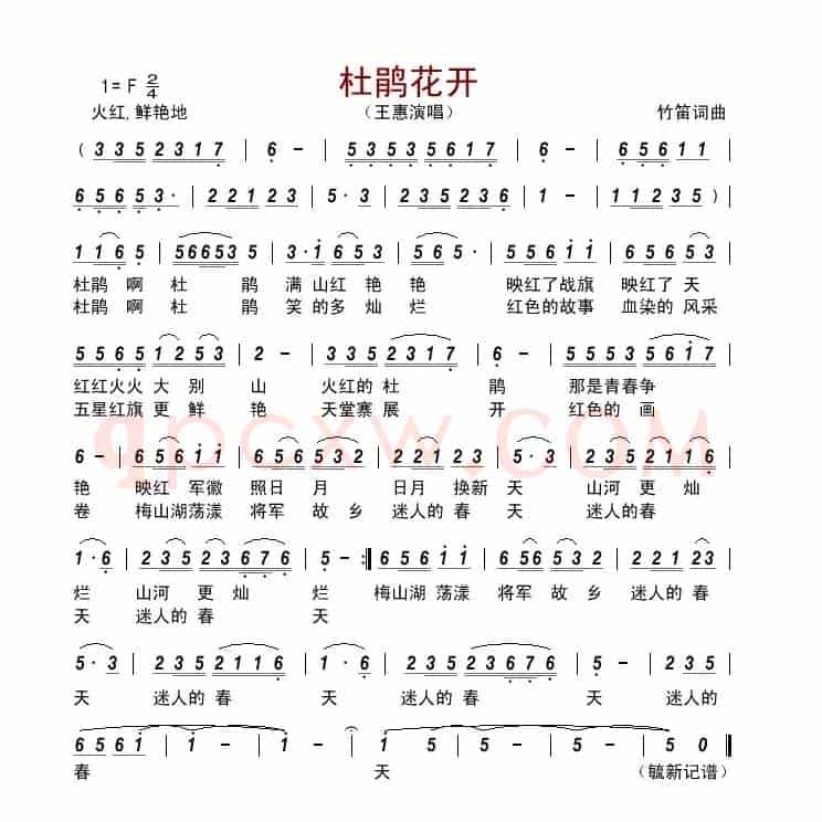 杜鹃花开      