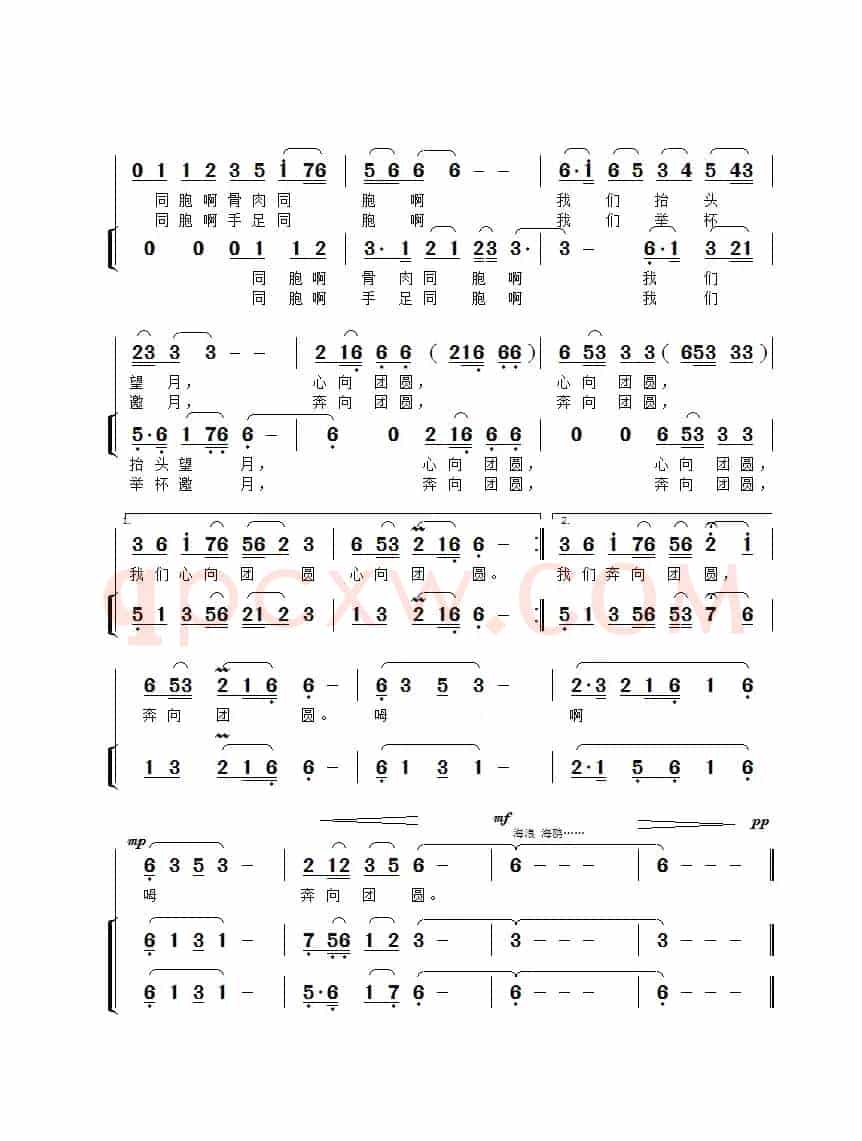 向团圆