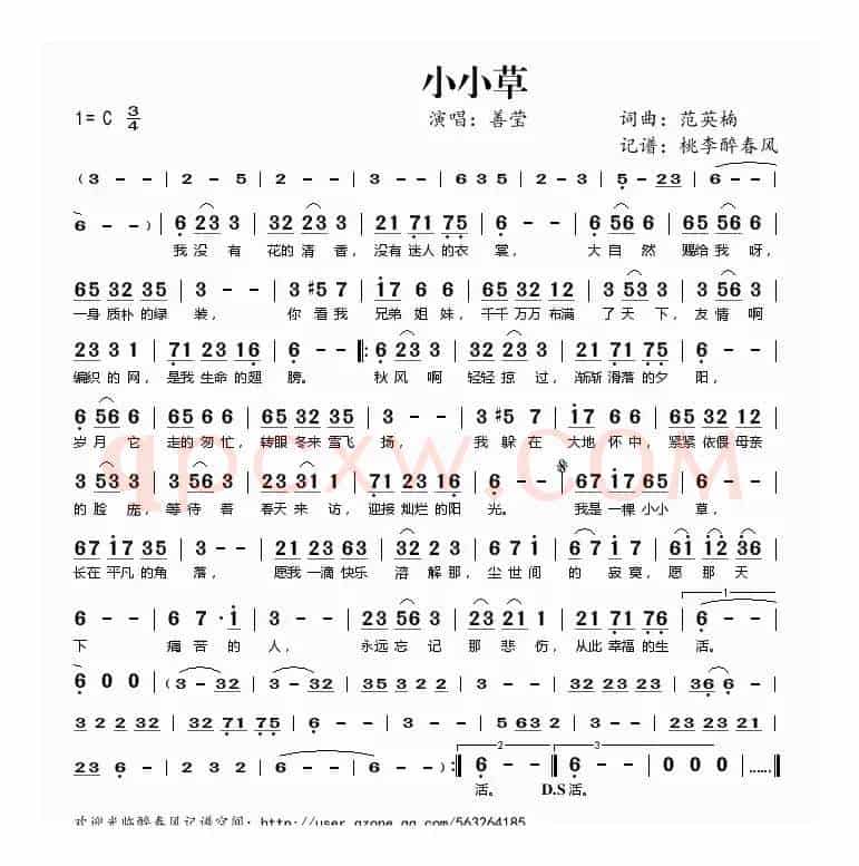 小小草（范英楠词曲）