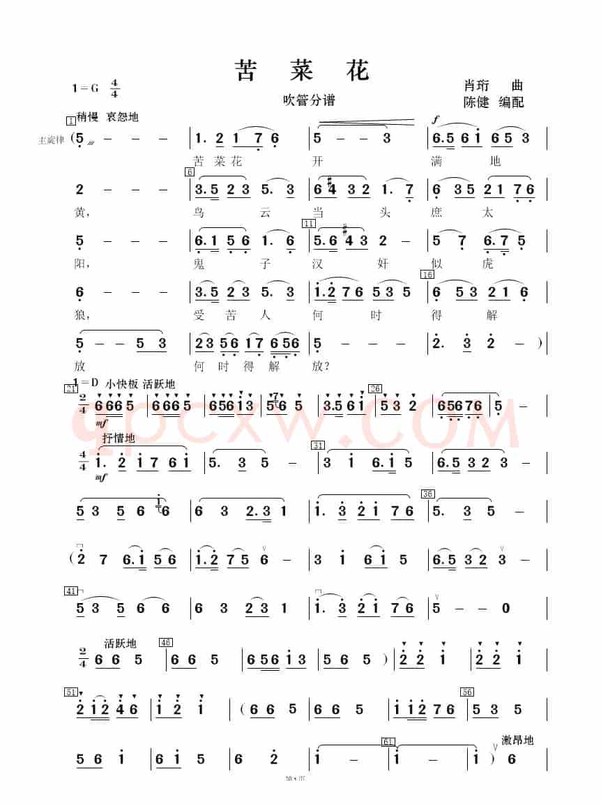 苦菜花（民乐合奏  ）