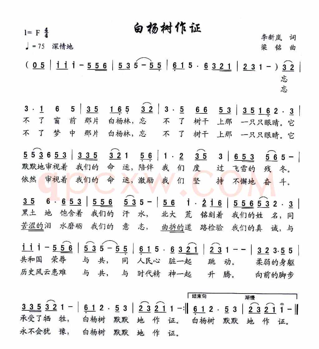 白杨树作证