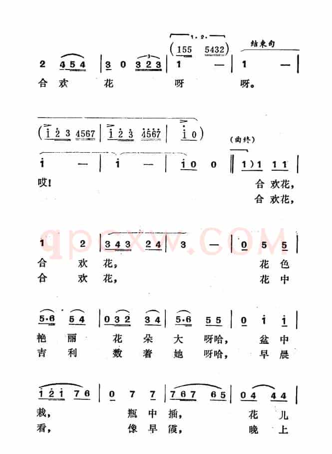 请买一束合欢花