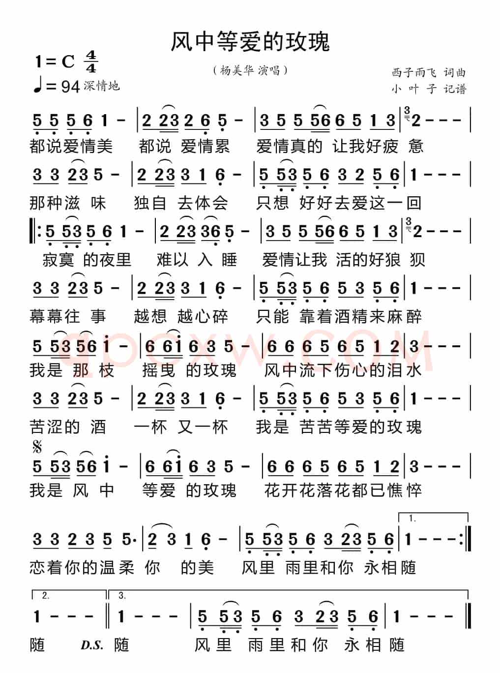 风中等爱的玫瑰