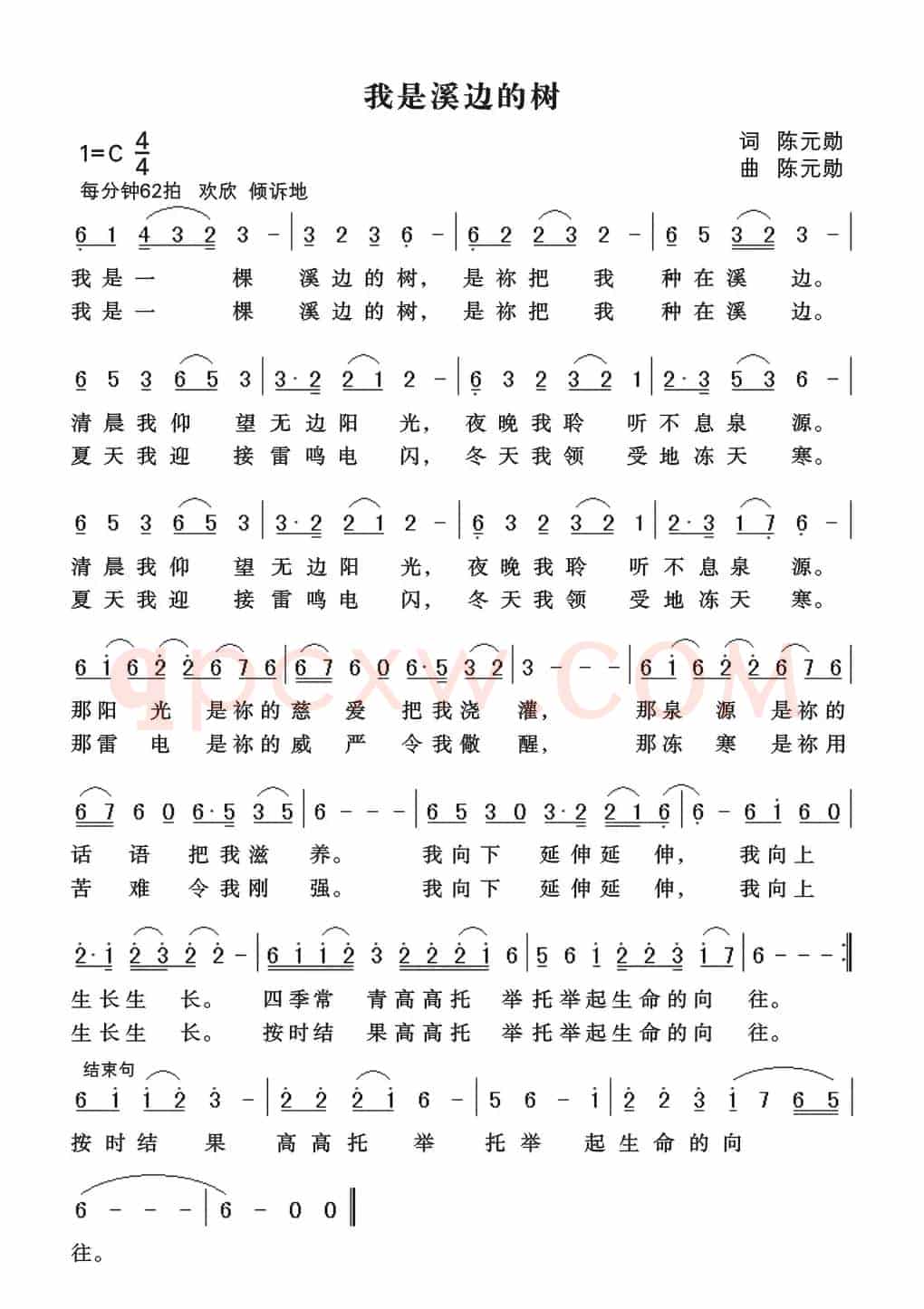 我是溪边的树