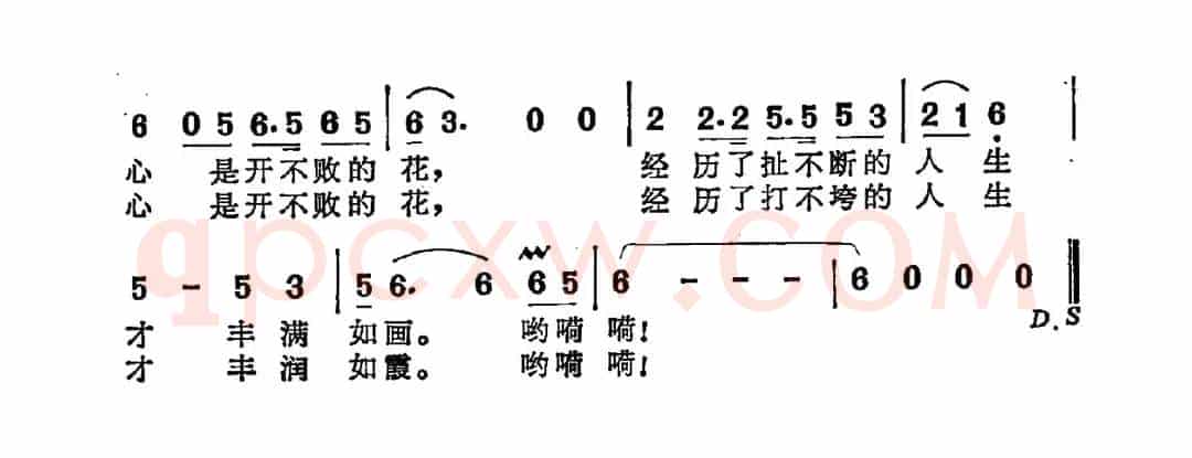 心是开不败的花（电视剧《苏雅的故事》片尾曲）