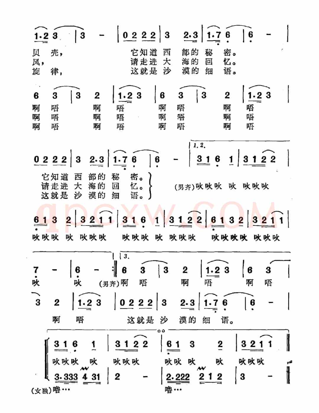 沙漠细语