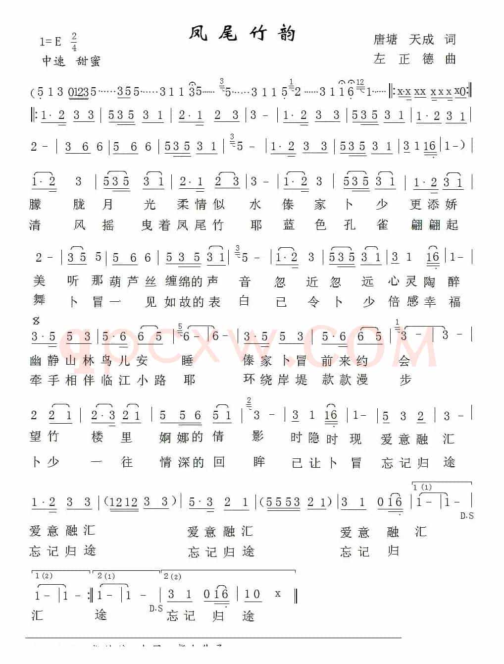 凤尾竹韵