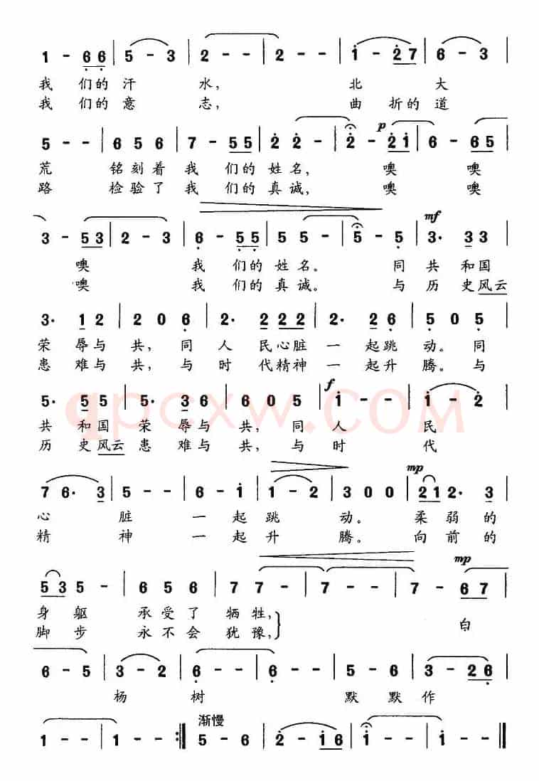 白杨树作证