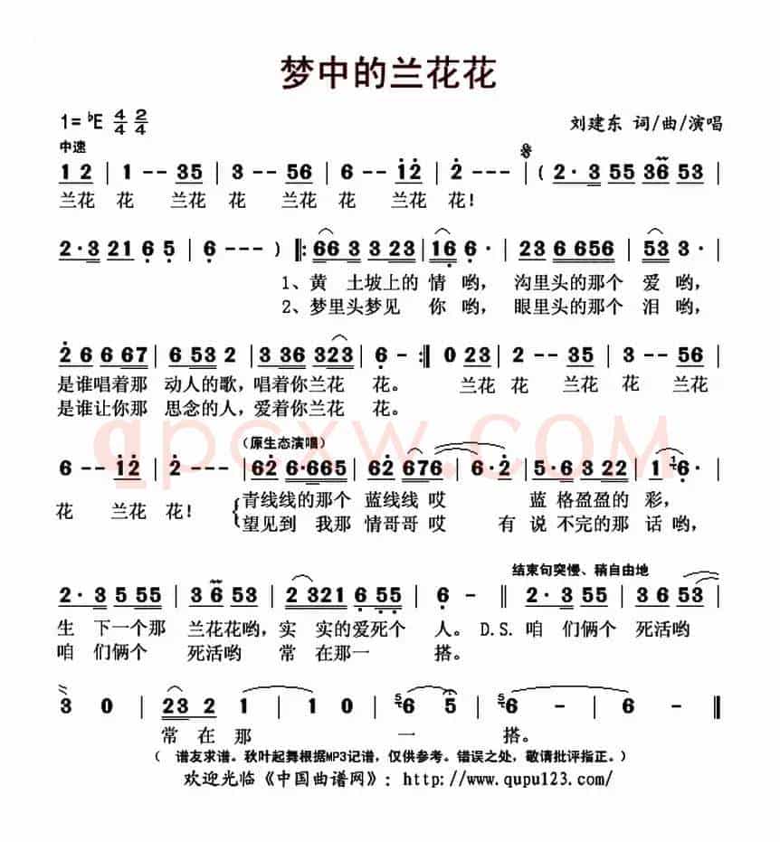 梦中的兰花花