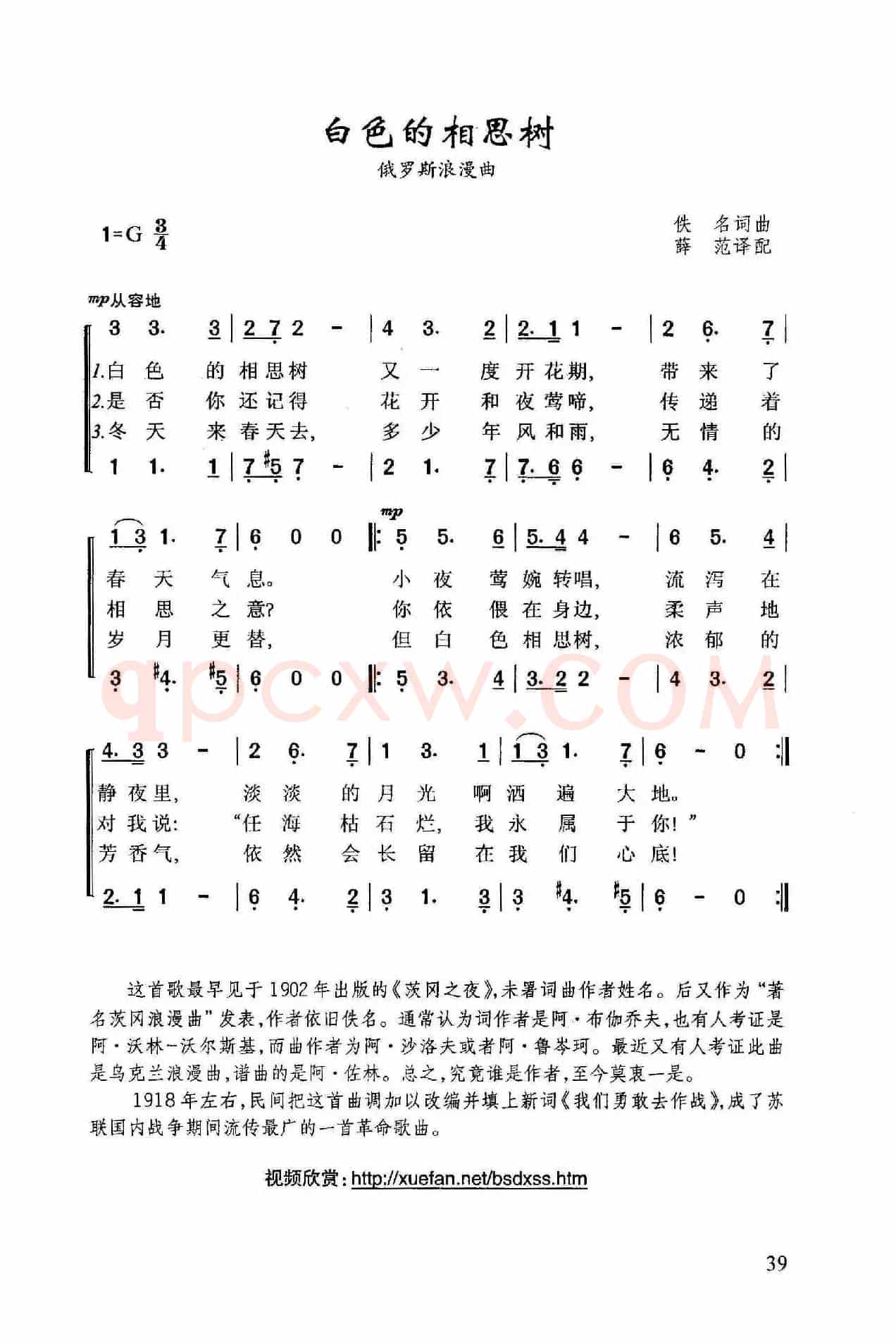 白色的相思树