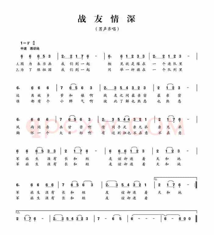 战友情深
