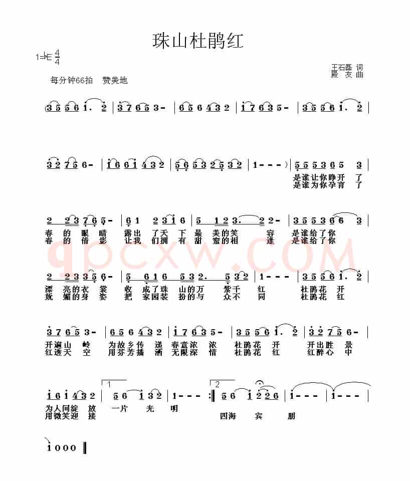 杜鹃花红