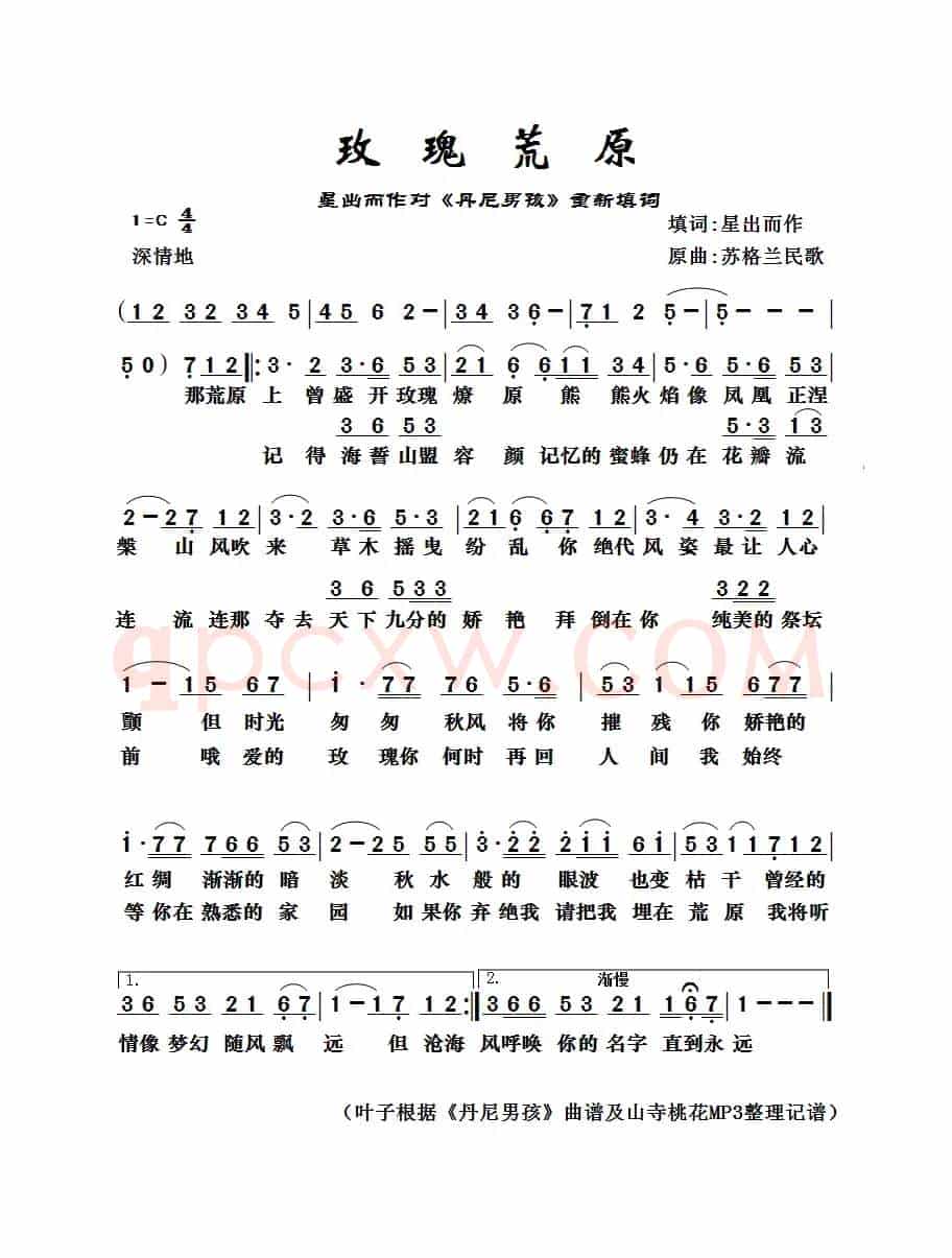 玫瑰荒原