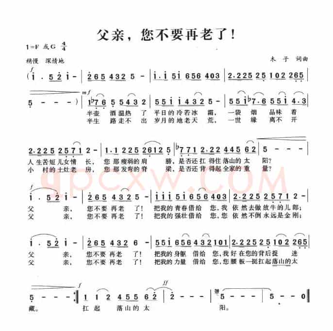 父亲，您不要再老了！