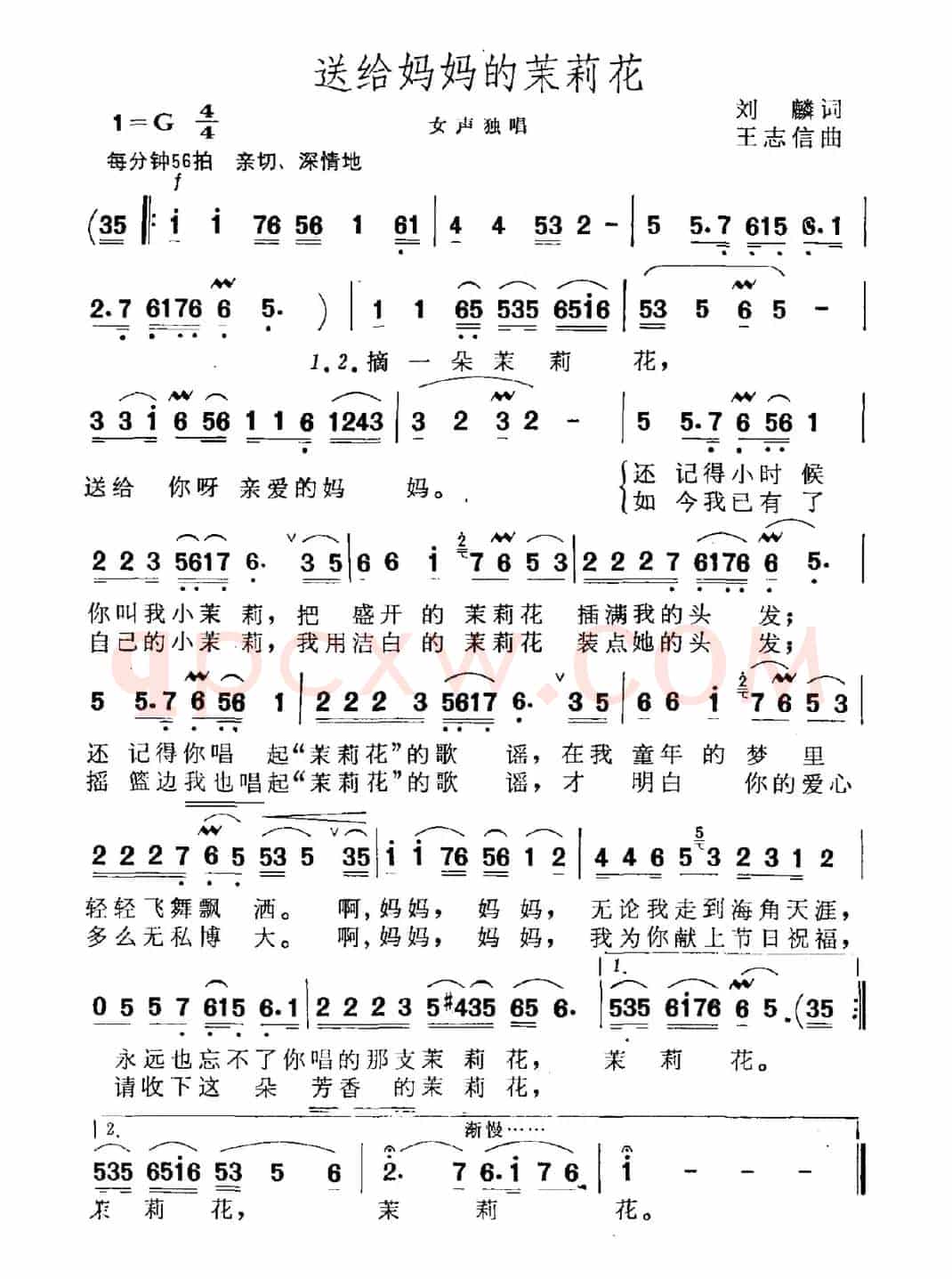 送给妈妈的茉莉花