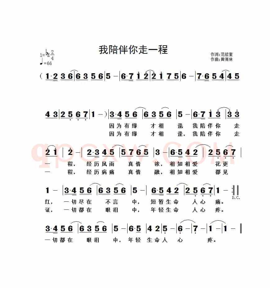 我陪伴你走一程