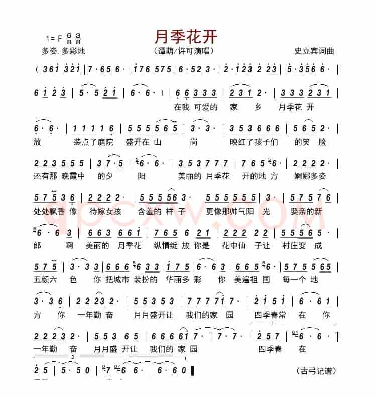 月季花开