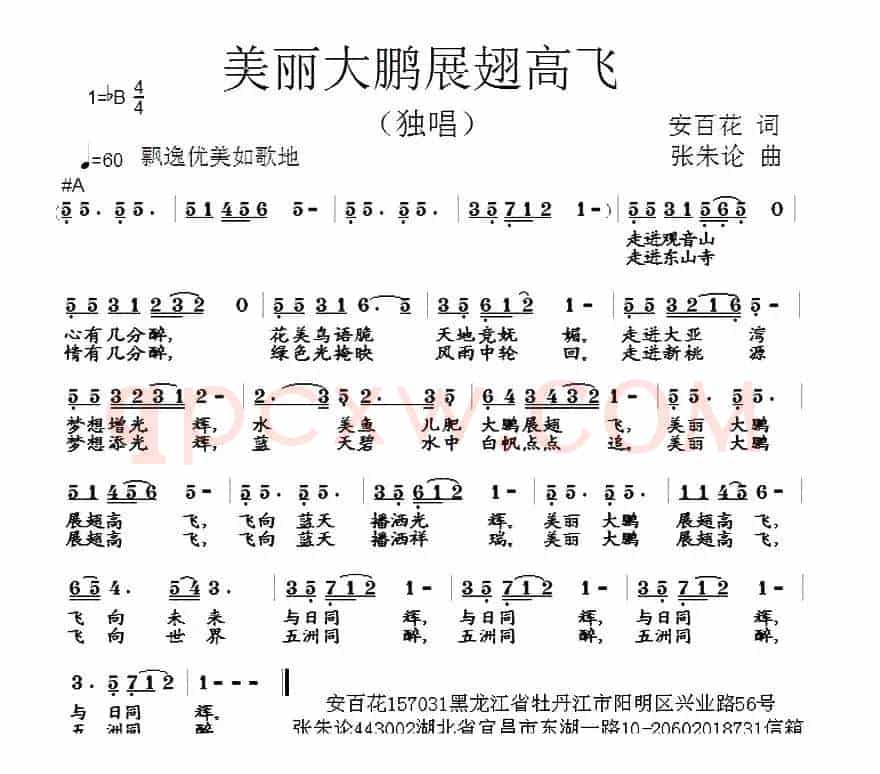 美丽大鹏展翅高飞