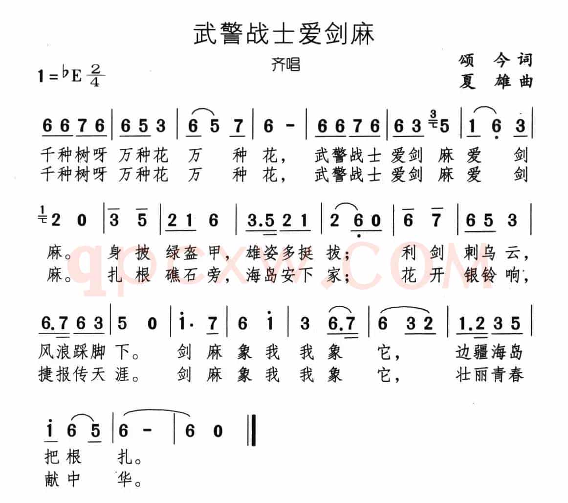 武警战士爱剑麻