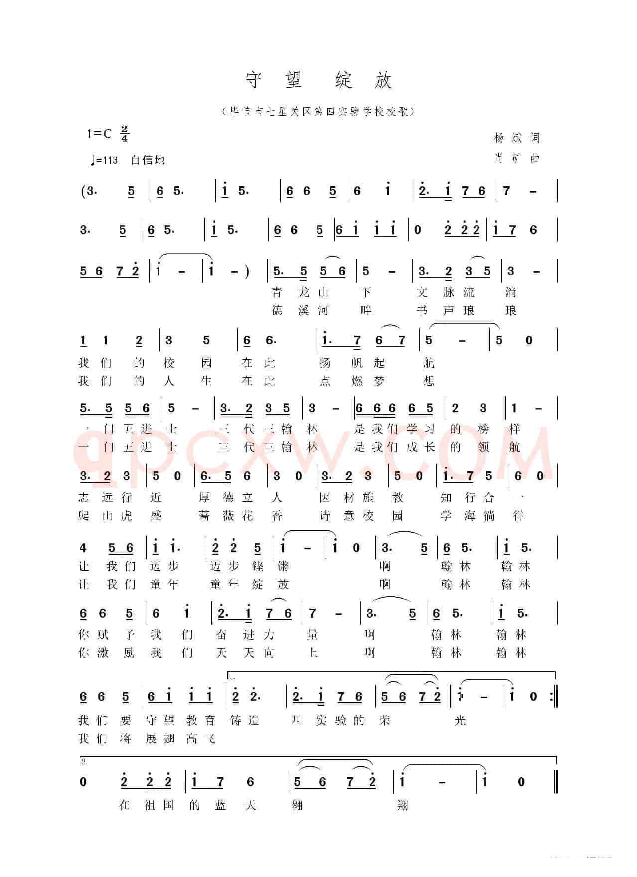 守望绽放
